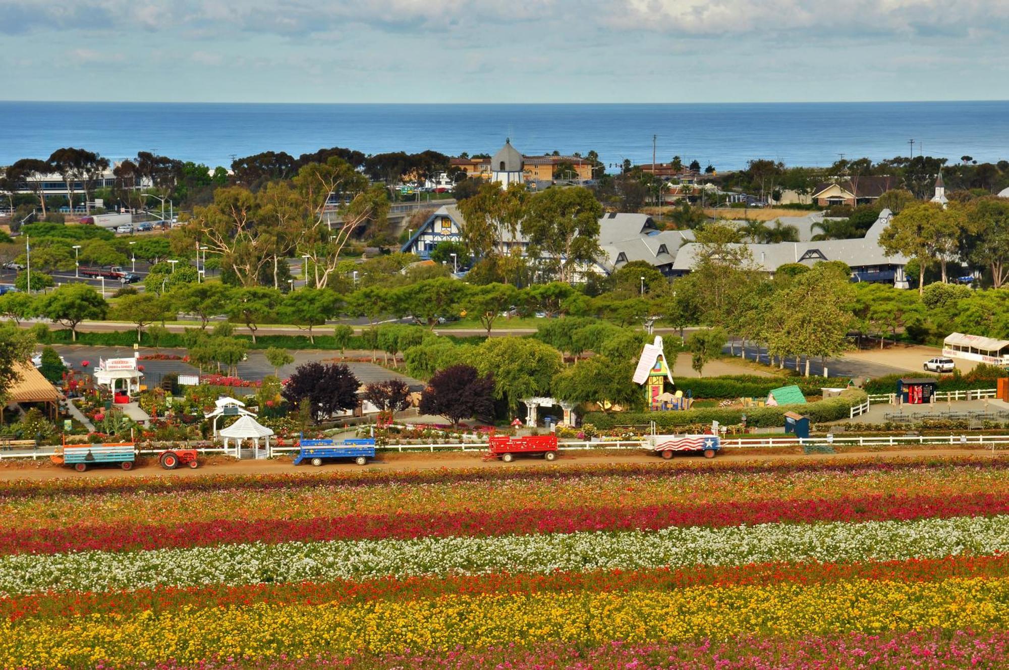 Grand Pacific Palisades Resort Carlsbad Ngoại thất bức ảnh